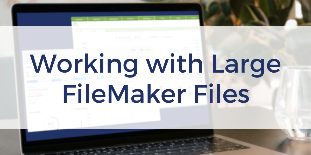 Large FileMaker Files